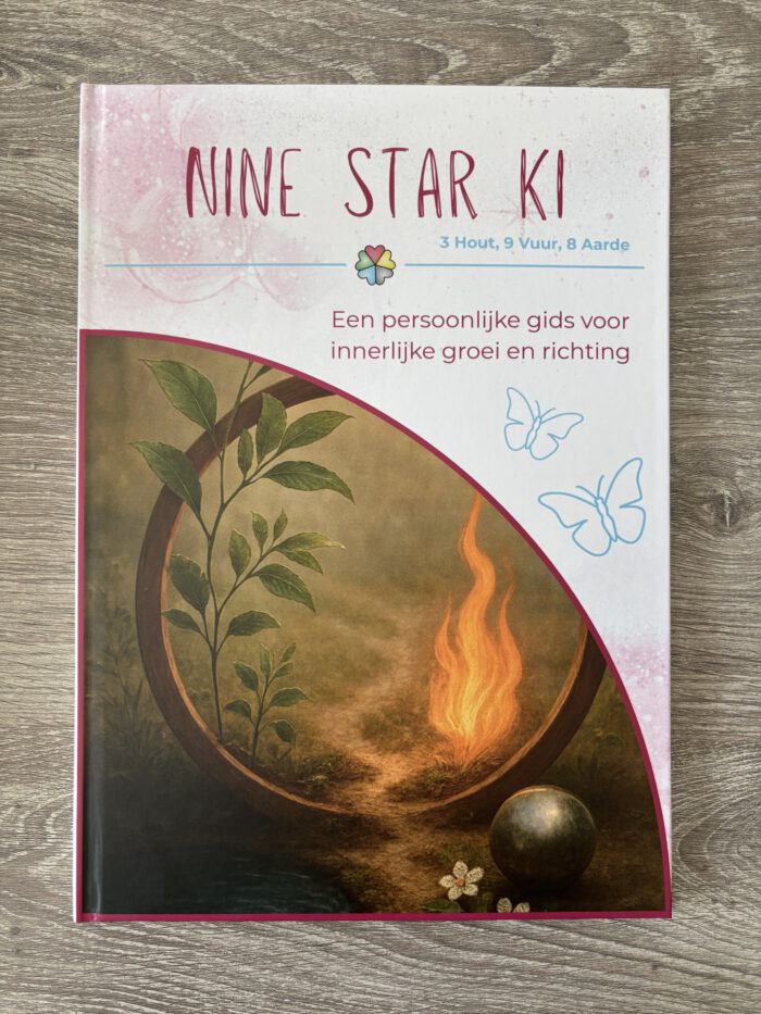 Nine Star Ki gids